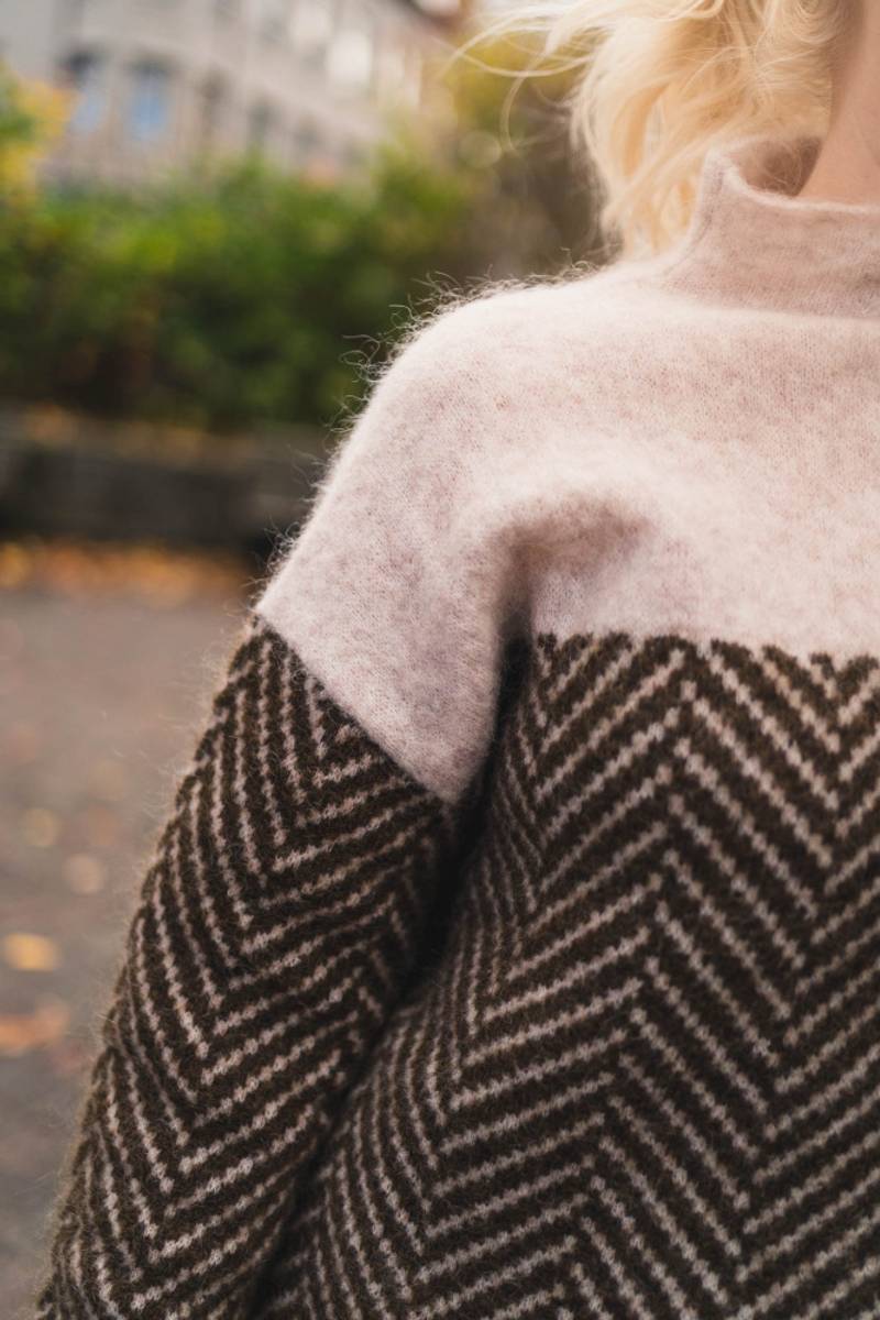 Color Block Turtleneck Sweater for Women
